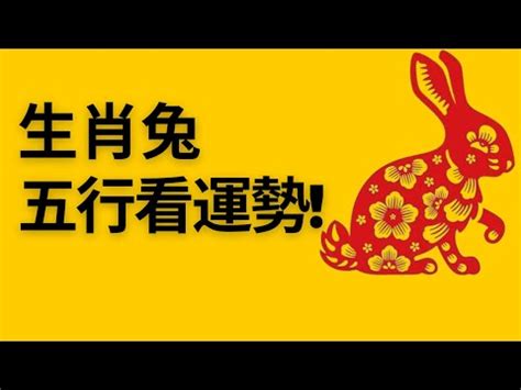 1975 兔|【1975是什麼兔】驚！1975屬兔到底是什麼命格？五。